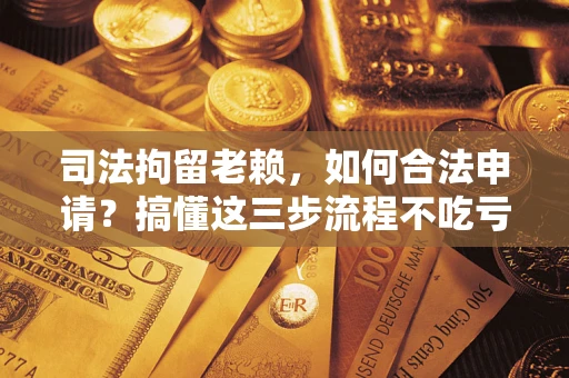 济南司法拘留老赖，如何合法申请？搞懂这三步流程不吃亏！