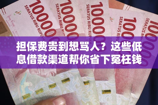 济南担保费贵到想骂人？这些低息借款渠道帮你省下冤枉钱