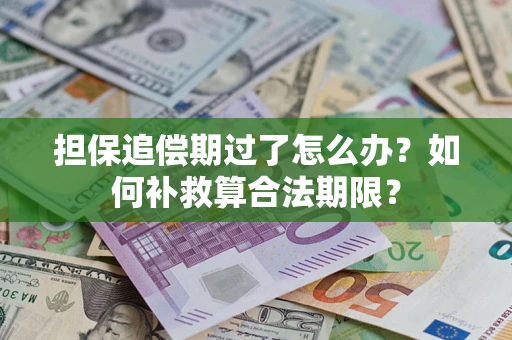 济南担保追偿期过了怎么办？如何补救算合法期限？