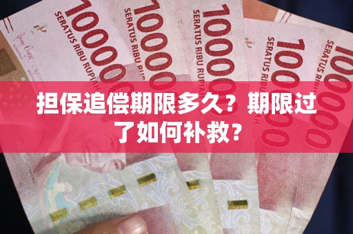 济南担保追偿期限多久？期限过了如何补救？