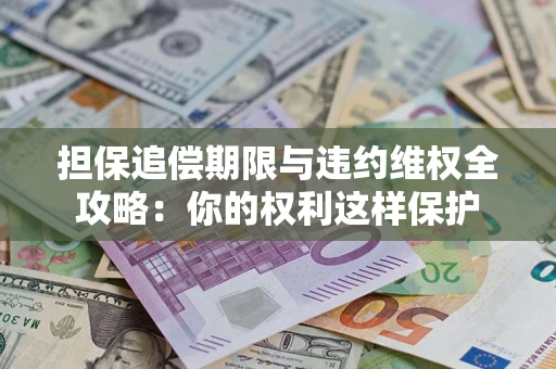 济南担保追偿期限与违约维权全攻略：你的权利这样保护