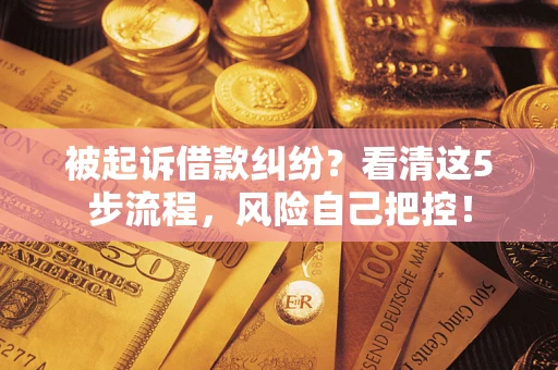 济南被起诉借款纠纷？看清这5步流程，风险自己把控！